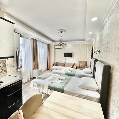 Hagia Sophia Hotel apartamentowy Stambuł